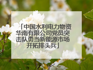 中国水利电力物资华南有限公司党员突击队勇当新能源市场开拓排头兵