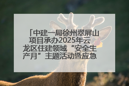 中建一局徐州翠屏山项目承办2025年云龙区住建领域“安全生产月”主题活动暨应急救援演练观摩会