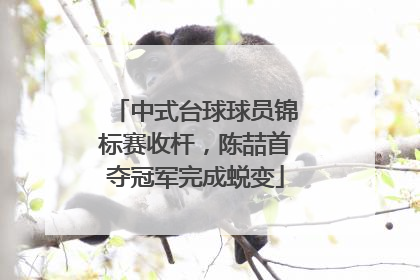 中式台球球员锦标赛收杆，陈喆首夺冠军完成蜕变