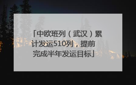 中欧班列（武汉）累计发运510列，提前完成半年发运目标