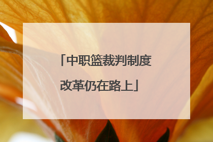 中职篮裁判制度改革仍在路上
