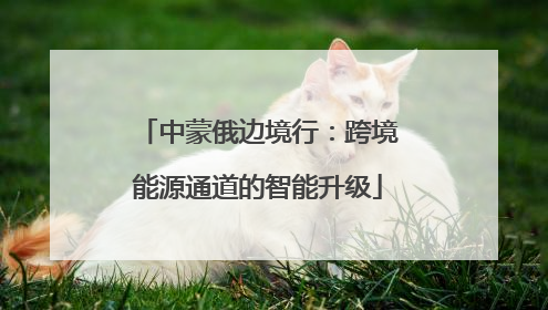中蒙俄边境行：跨境能源通道的智能升级