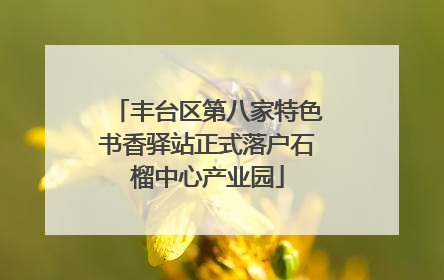 丰台区第八家特色书香驿站正式落户石榴中心产业园