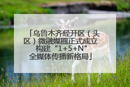 乌鲁木齐经开区（头区）微融媒圈正式成立 构建“1+5+N”全媒体传播新格局