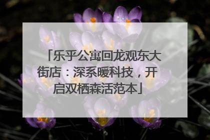 乐乎公寓回龙观东大街店：深系暖科技，开启双栖森活范本