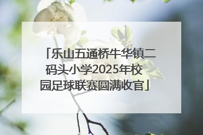 乐山五通桥牛华镇二码头小学2025年校园足球联赛圆满收官