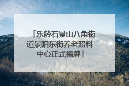 乐龄石景山八角街道景阳东街养老照料中心正式揭牌