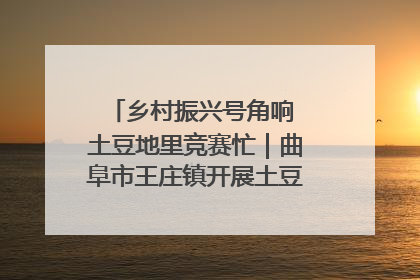 乡村振兴号角响 土豆地里竞赛忙｜曲阜市王庄镇开展土豆收获劳动竞赛