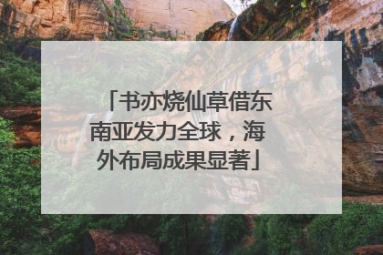 书亦烧仙草借东南亚发力全球，海外布局成果显著