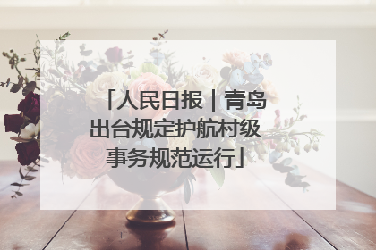 人民日报｜青岛出台规定护航村级事务规范运行