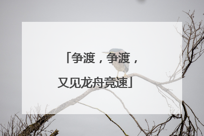 争渡，争渡，又见龙舟竞速
