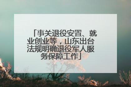 事关退役安置、就业创业等，山东出台法规明确退役军人服务保障工作