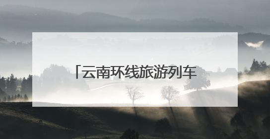 云南环线旅游列车创新服务 解锁“轻装出行”新体验
