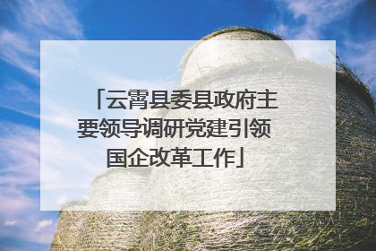 云霄县委县政府主要领导调研党建引领国企改革工作