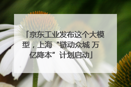 京东工业发布这个大模型，上海“链动众城 万亿降本”计划启动