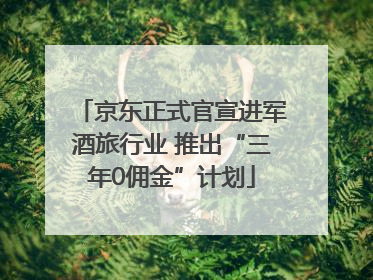 京东正式官宣进军酒旅行业 推出“三年0佣金”计划