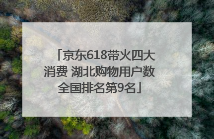 京东618带火四大消费 湖北购物用户数全国排名第9名