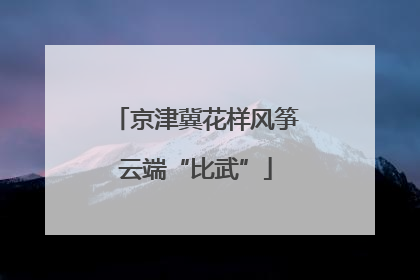 京津冀花样风筝云端“比武”