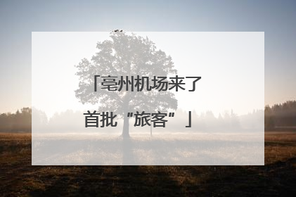 亳州机场来了首批“旅客”