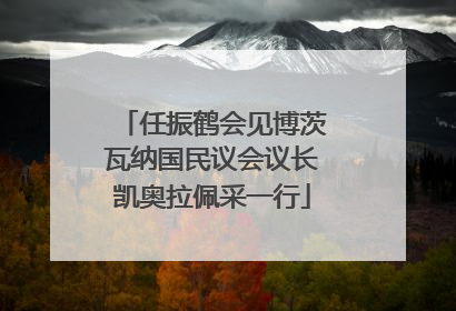 任振鹤会见博茨瓦纳国民议会议长凯奥拉佩采一行