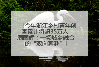 今年浙江乡村青年创客累计将超35万人 周国辉：一场城乡融合的“双向奔赴”
