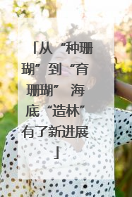 从“种珊瑚”到“育珊瑚” 海底“造林”有了新进展