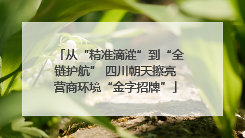 从“精准滴灌”到“全链护航” 四川朝天擦亮营商环境“金字招牌”