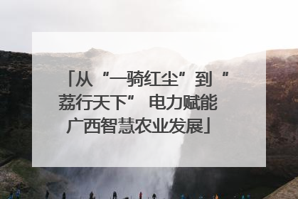 从“一骑红尘”到“荔行天下” 电力赋能广西智慧农业发展