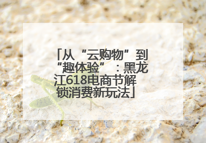 从“云购物”到“趣体验”：黑龙江618电商节解锁消费新玩法