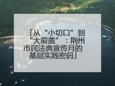 从“小切口”到“大覆盖”：荆州市民法典宣传月的基层实践密码