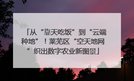 从“靠天吃饭”到“云端种地”！莱芜区“空天地网”织出数字农业新图景