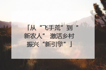 从“飞手荒”到“新农人” 激活乡村振兴“新引擎”