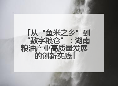 从“鱼米之乡”到“数字粮仓”：湖南粮油产业高质量发展的创新实践