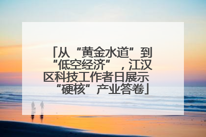 从“黄金水道”到“低空经济”，江汉区科技工作者日展示“硬核”产业答卷