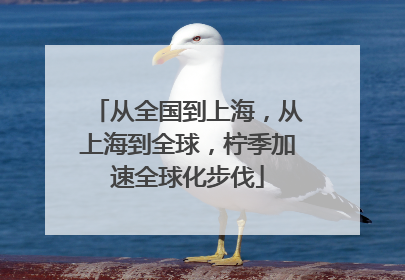 从全国到上海，从上海到全球，柠季加速全球化步伐