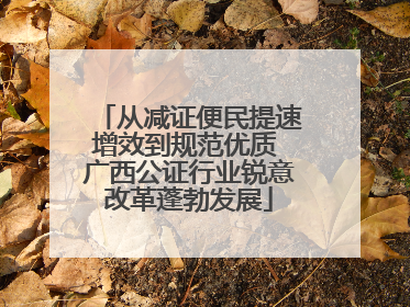 从减证便民提速增效到规范优质 广西公证行业锐意改革蓬勃发展