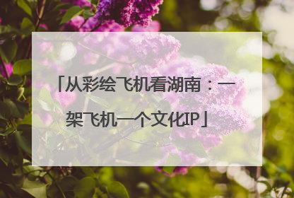 从彩绘飞机看湖南：一架飞机一个文化IP