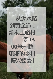 从泥水路到黄金道，新泰王峪村：一条1300米村路见证的乡村振兴蝶变