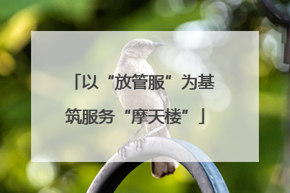 以“放管服”为基筑服务“摩天楼”