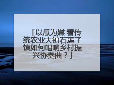 以瓜为媒 看传统农业大镇石莲子镇如何唱响乡村振兴协奏曲？