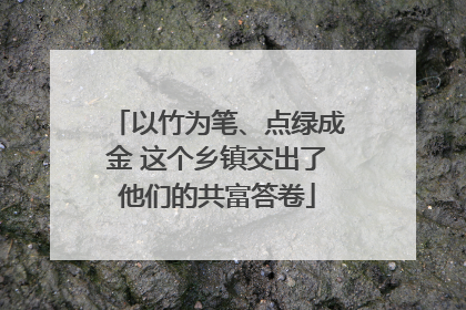 以竹为笔、点绿成金 这个乡镇交出了他们的共富答卷