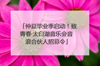 仲夏毕业季启动！致青春·太白湖音乐会音浪合伙人招募令