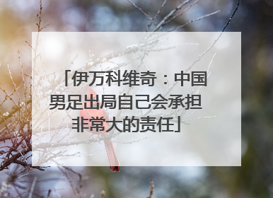 伊万科维奇：中国男足出局自己会承担非常大的责任