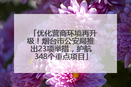 优化营商环境再升级！烟台市公安局推出23项举措，护航348个重点项目