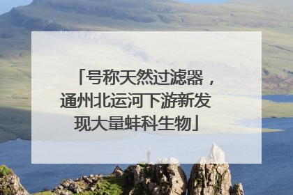 号称天然过滤器，通州北运河下游新发现大量蚌科生物
