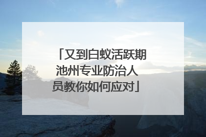 又到白蚁活跃期 池州专业防治人员教你如何应对