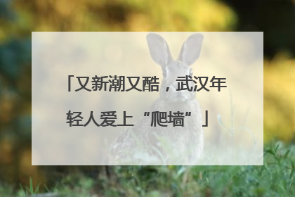 又新潮又酷，武汉年轻人爱上“爬墙”