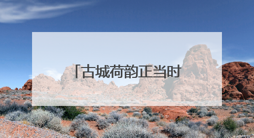 古城荷韵正当时 明月公园邀您共赏“别样红”