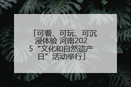可看、可玩、可沉浸体验 河南2025“文化和自然遗产日”活动举行