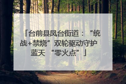 台前县凤台街道：“统战+禁烧”双轮驱动守护蓝天 “零火点”